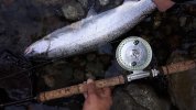 20170129_084640.jpg