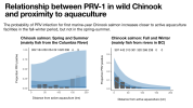 WCVI_Chinook_Risk_Assessment_Mordecai-0017.png