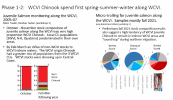 WCVI CH risk 03 May 22d.png