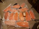 Aug 25 Fillets for Lox.jpg