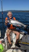 chinookAug302.jpg