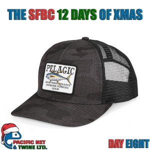 SFBC-12Days-Day-8.jpg
