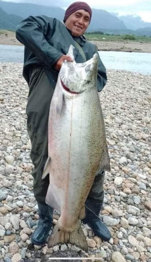 Puerto Aysen Spring Salmon 48kg.jpeg