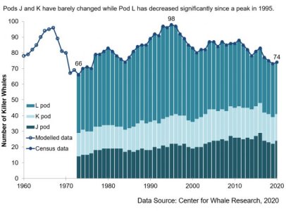 salish-sea-srkw-population-by-pod-1960-2020.jpg