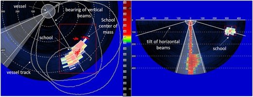 herring sonar.jpeg