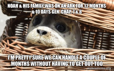 noah-his.jpg