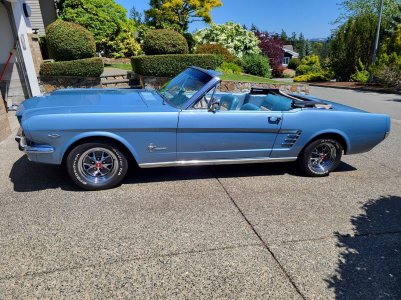 1966 convertible Mustang.jpg