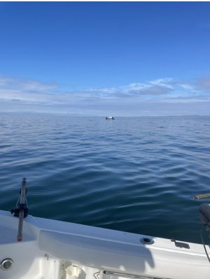 IMG_0543.jpg