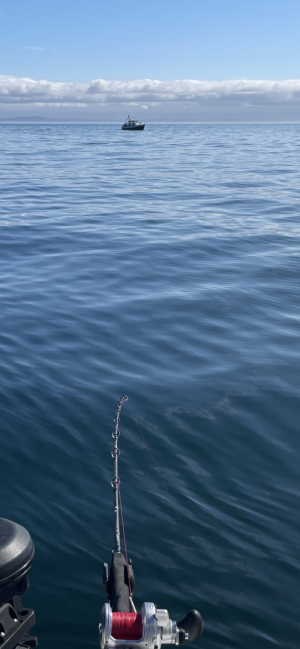 IMG_0544.PNG