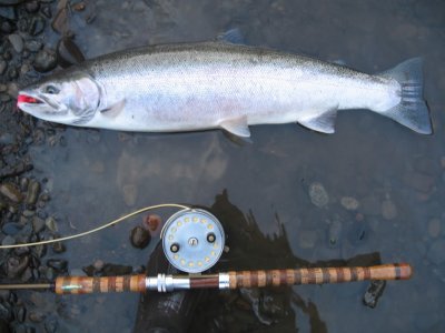 Fly reel recommendations