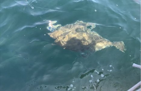 IMG_0861.jpeg
