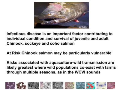 SSHI_Miller Overview for WCVI Chinook Risk Assesment-0020.png