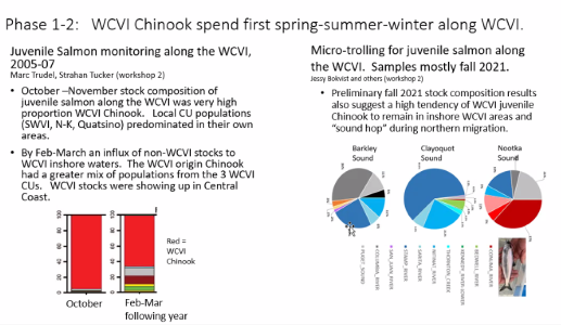 WCVI CH risk 03 May 22d.png