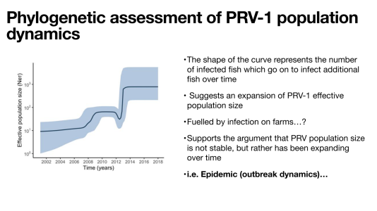 WCVI_Chinook_Risk_Assessment_Mordecai-0019.png