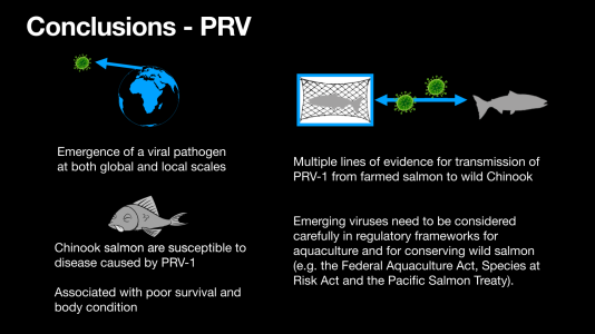 WCVI_Chinook_Risk_Assessment_Mordecai-0021.png