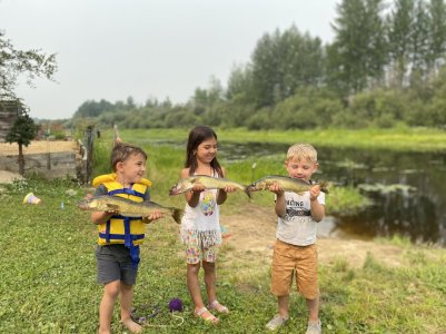 IMG_7987.jpeg