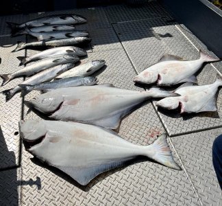 Sept-1-2023-Halibut-coho-1200.jpg