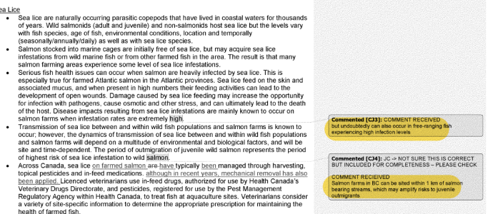 sea lice.png