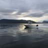 ShipDisturber