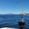 spinningreels