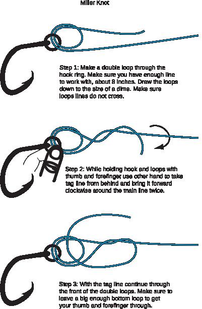 Joe Miller Knot
