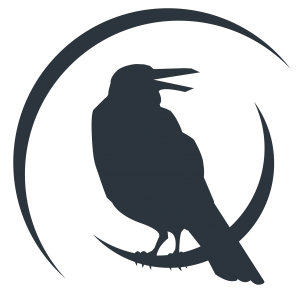 bcitnews.com