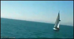 whale_8e1bf1_829536.gif