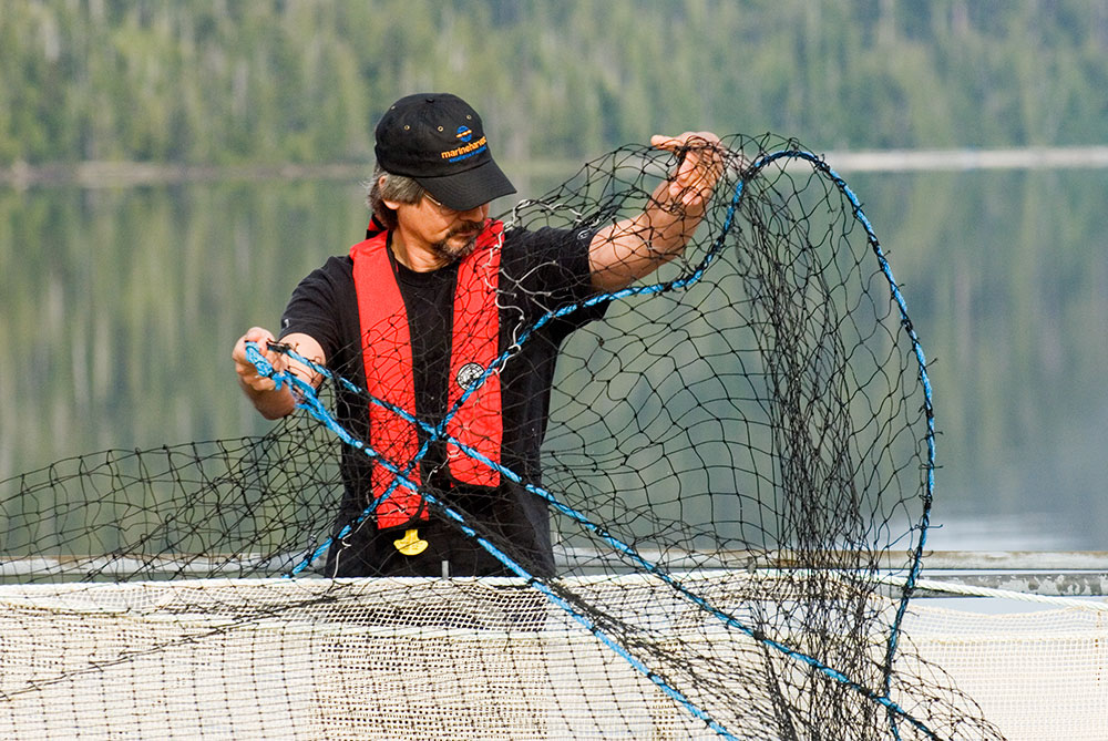 salmonbusiness.com