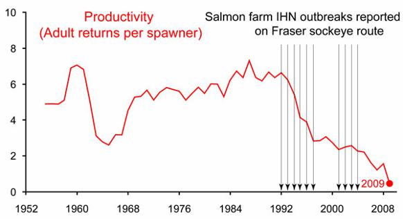 salmongraph582__page_thumb.jpg