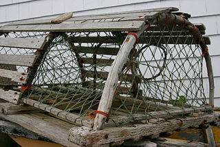 320px-Lobster_trap.jpg