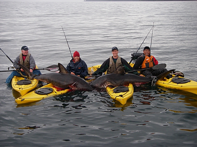 GroupShark.jpg