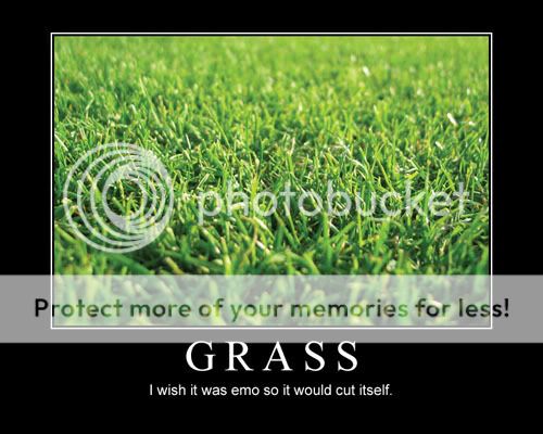 grass_2.jpg
