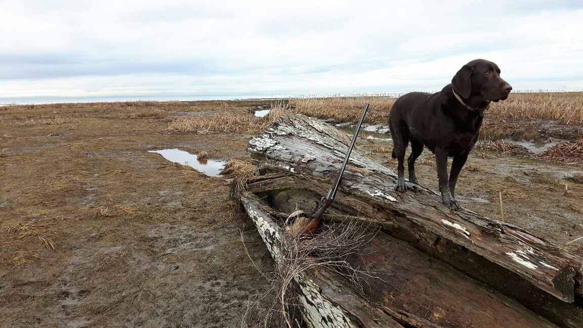 Snow-Re-opener-Feb20-2017-Rigby-Log.jpg