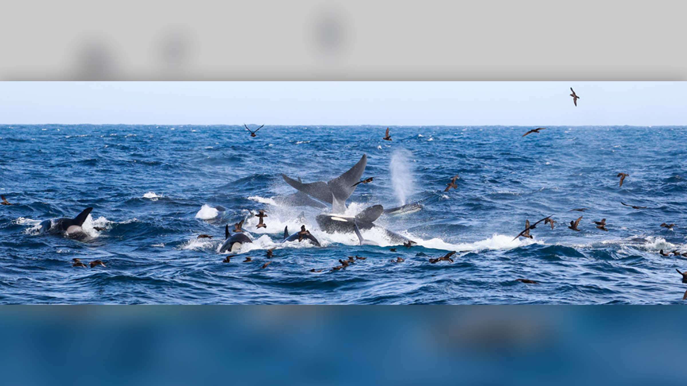 www.livescience.com