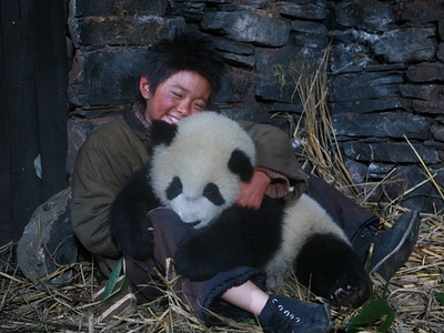 disney_panda_art_400_20080615231203.jpg
