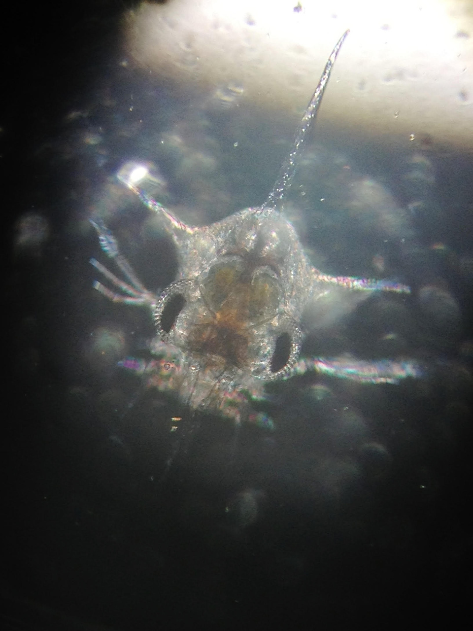 www.fisheries.noaa.gov