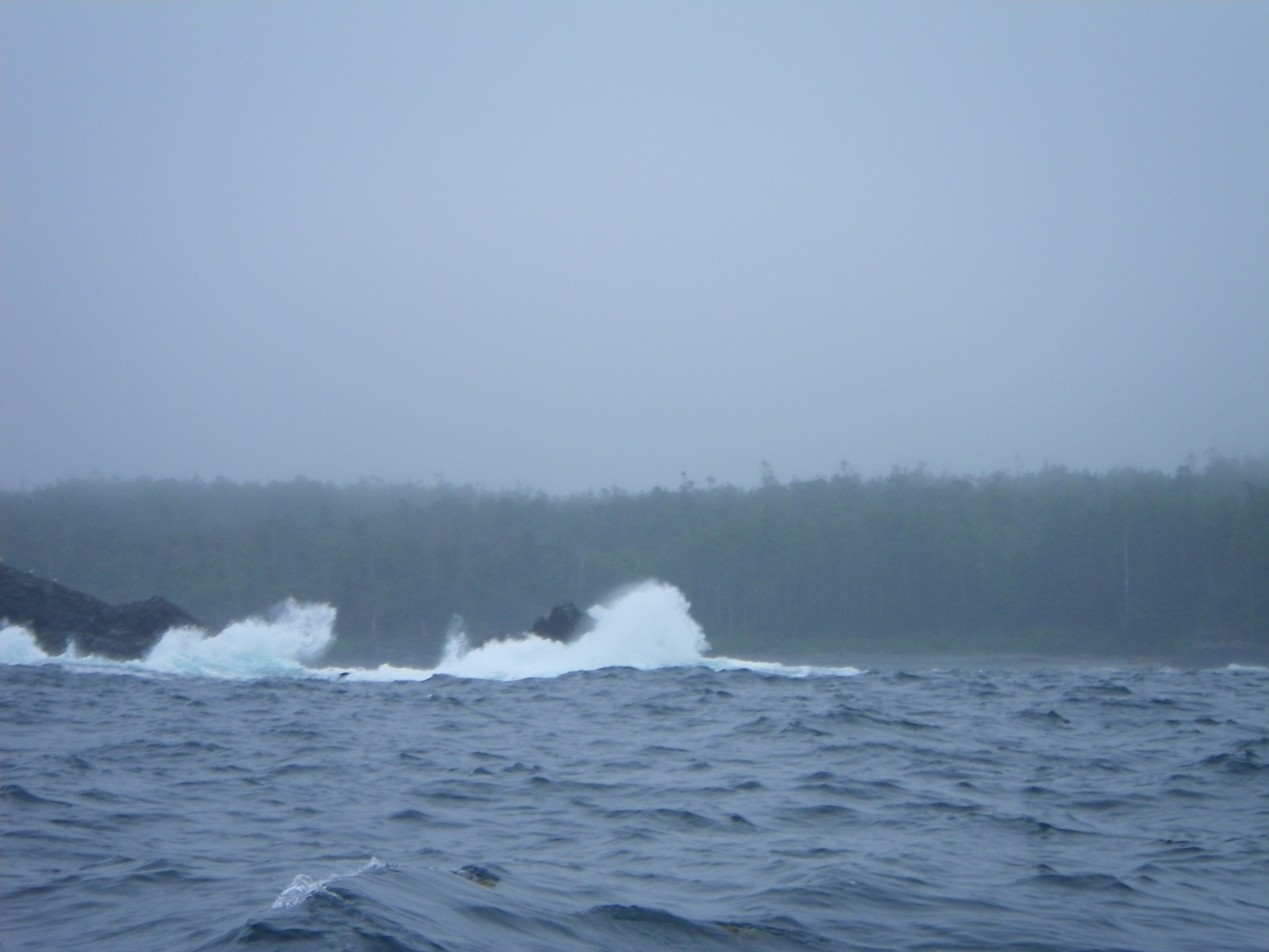 IMGP0272.jpg