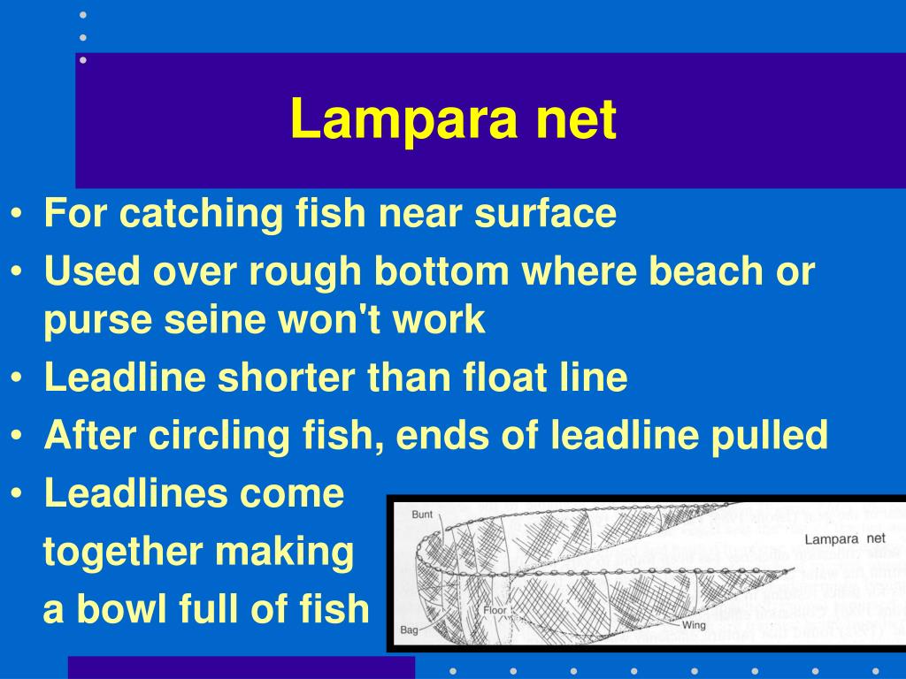 lampara-net-l.jpg