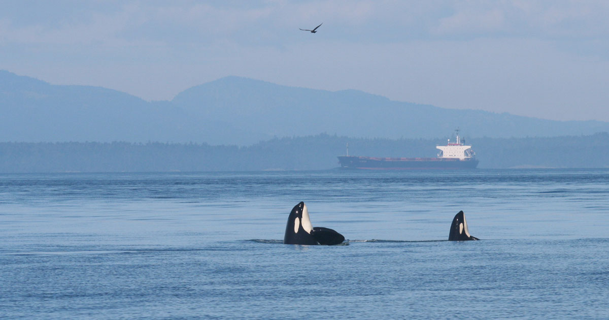 www.raincoast.org