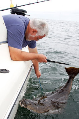 90_pound_halibut.jpg