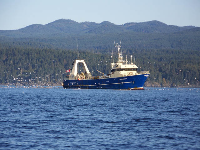 bigboat.jpg
