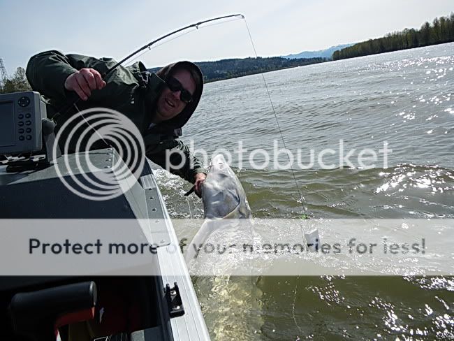 which sturgeon fishing gear would you recommend