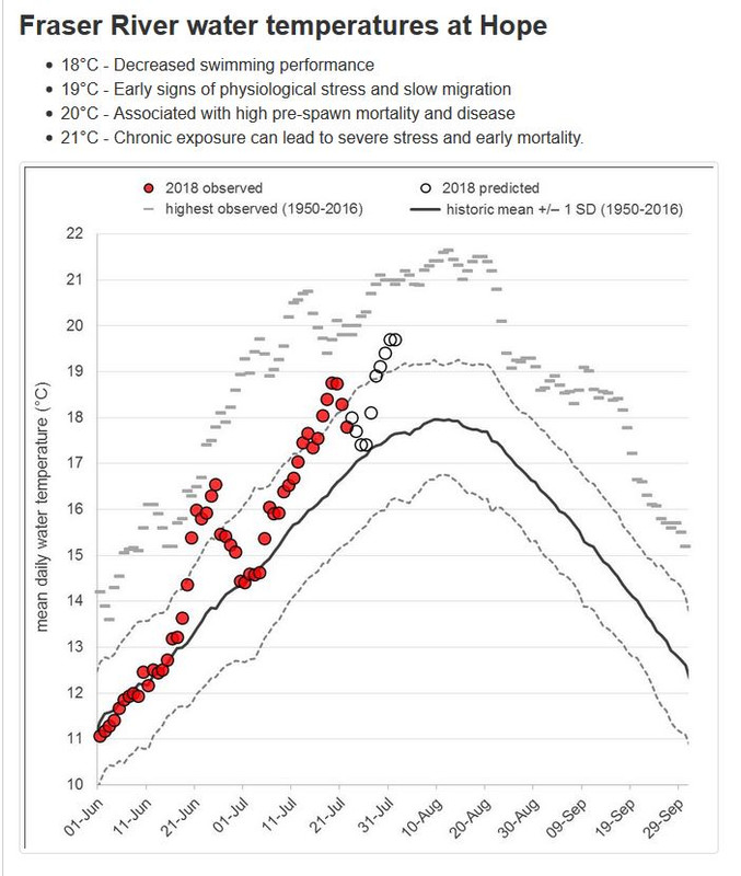 Fraser_River_Water_Temps_Hope-1.jpg