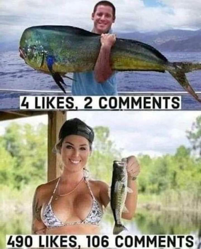 likes.jpg