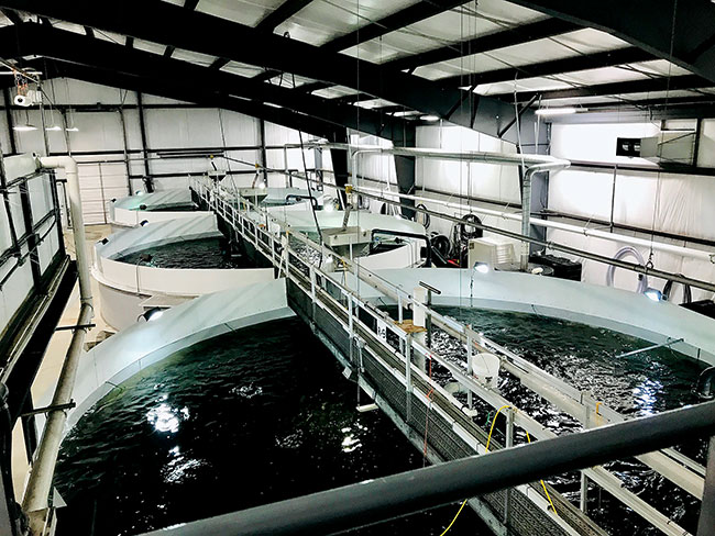 www.aquaculturenorthamerica.com