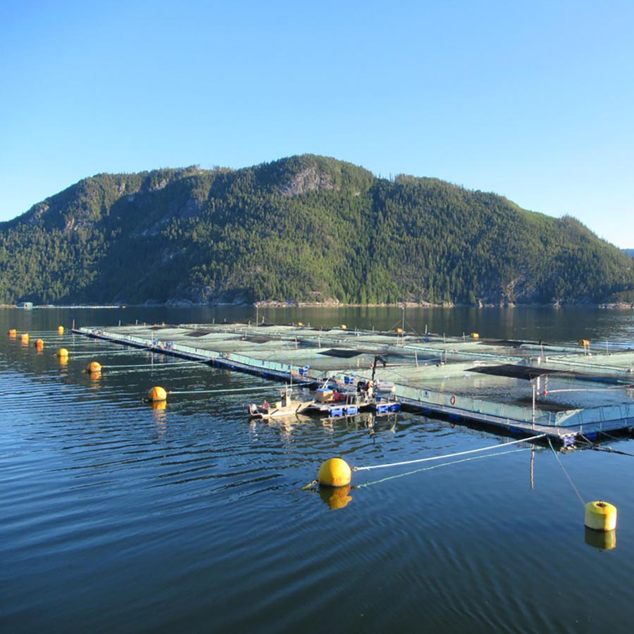 salish-current.org