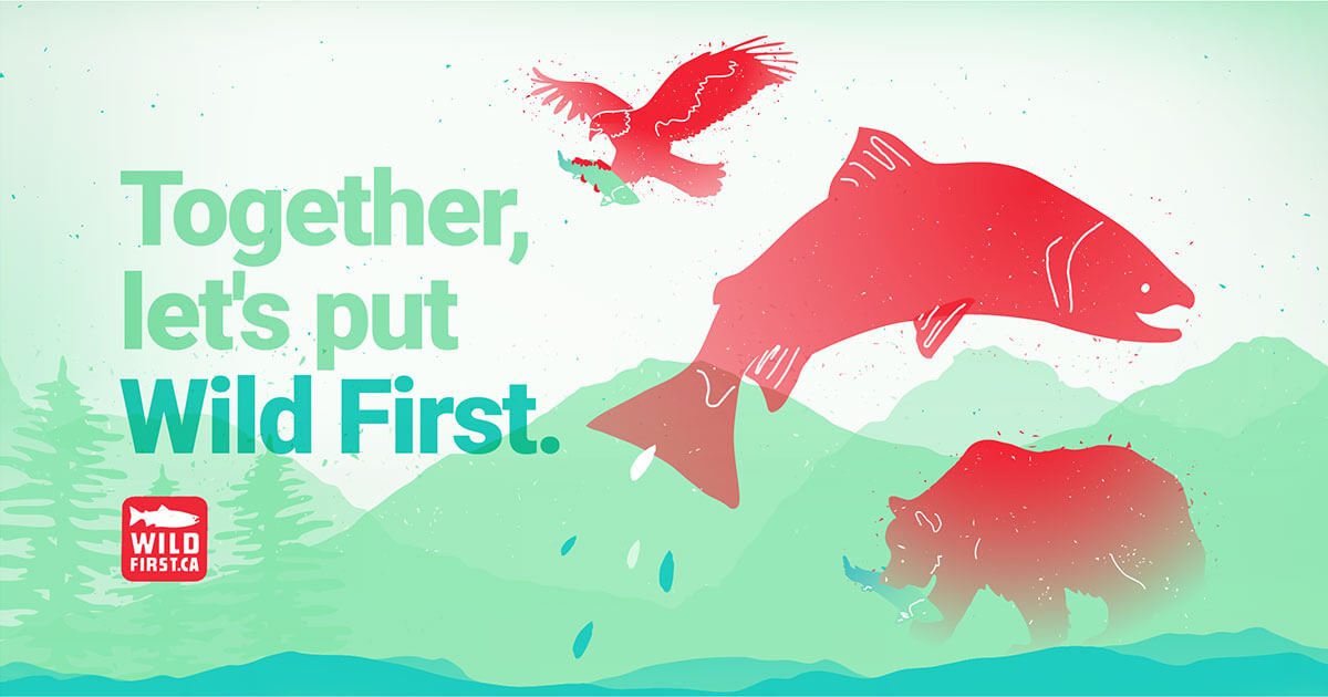 www.wildfirst.ca