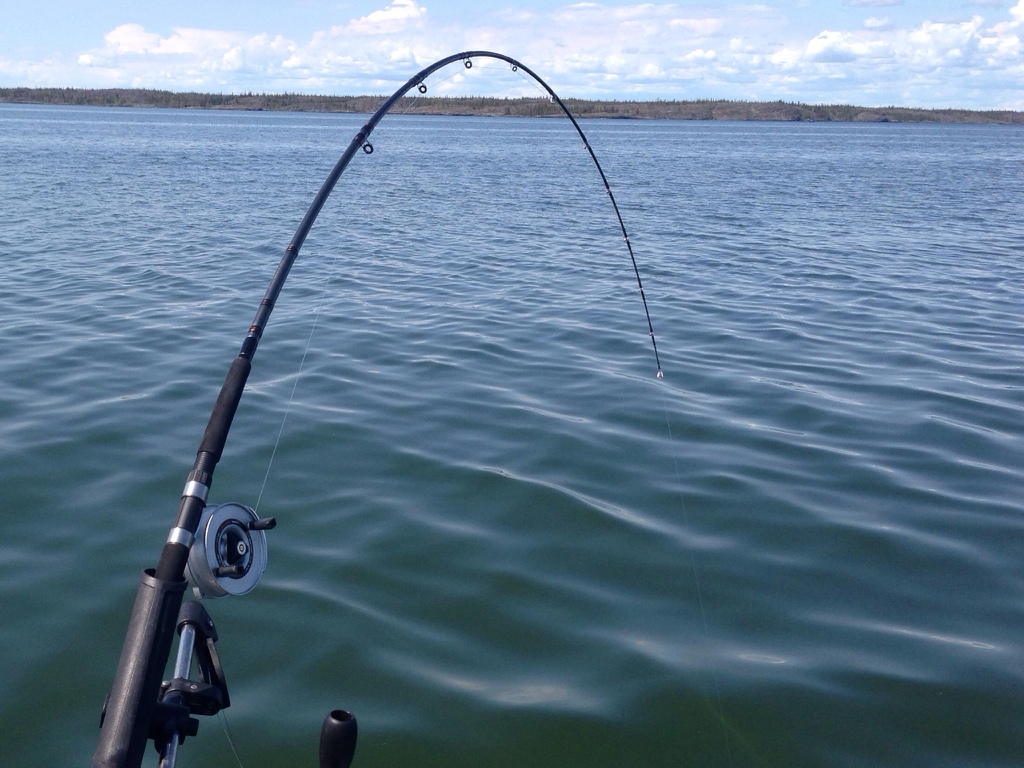 Mooching gear in fresh water