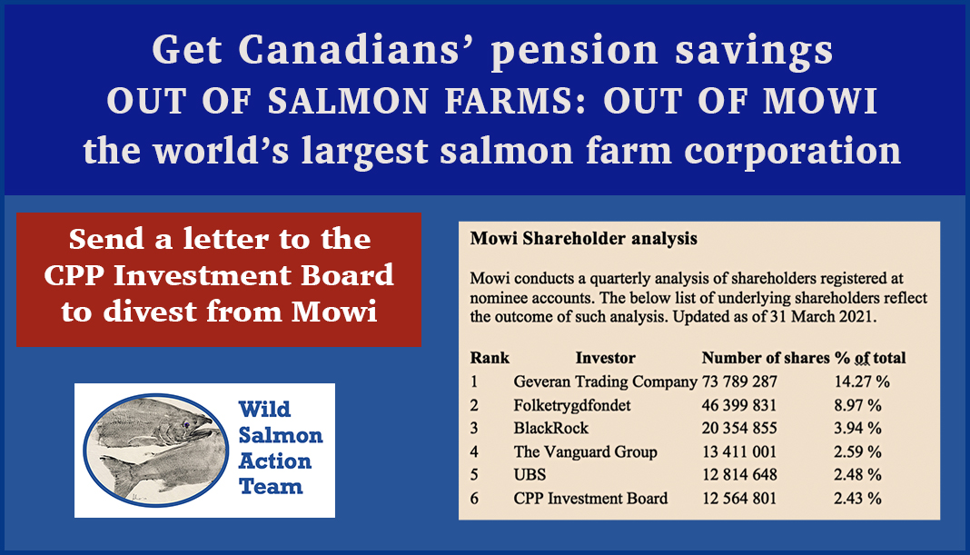 wildsalmonaction.ca