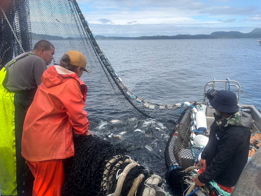 thetyee.ca